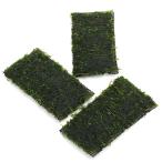 ( водоросли ) наматывать длина Willow Moss sp. narrow подушка ( подводный лист )( нет пестициды )(1 шт )