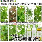 ( водоросли ) начинающий предназначенный случайный водоросли набор упаковка 4 вид ( итого 40шт.@)+ питание элемент 3 вид пробный размер ( водный лист )( нет пестициды )(1 упаковка )