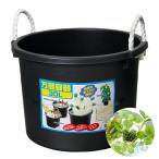 （浮草）万能容器　３０Ｌ　おまかせ浮草３種セット（各２株）付き　ビオトープ　めだか飼育　本州四国限定