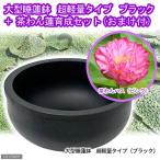 ■同梱不可・中型便手数料(ビオトープ)(水草)大型睡蓮鉢 超軽量タイプ ブラック+茶わん蓮育成セット 本州・四国限定 才数200
