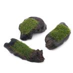 ( водоросли ) наматывать длина Bubble Moss коряга SS размер (10cm и меньше )( подводный лист )( нет пестициды )( 1 шт. )