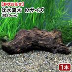 すぐに沈む！　形状お任せ　沈水流木Ｍサイズ　（約２０ｃｍ）　１本