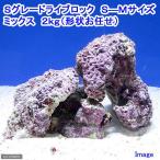 （海水魚）Ｓグレードライブロック　Ｓ－Ｍサイズミックス（２ｋｇ）（形状お任せ）　