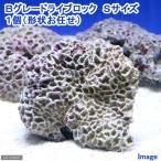 Ｂグレードライブロック Ｓサイズ