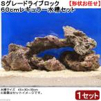 (海水魚)Sグレードライブロック 60cmレギュラー水槽用(1セット)(形状お任せ) 北海道航空便要保温