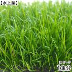 ( водоросли ) Cobra стакан mo-li автомобиль s( водный лист )( нет пестициды )(1 пачка минут )