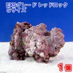 ( морская рыба )lai блок EXS комплектация красный блокировка S размер (1 шт )( вид оставив решение кому-то другому )