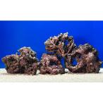 ( морская рыба ) один пункт предмет lai блок (М размер ) LR-3685(1 комплект ) Hokkaido авиапочта необходимо теплоизоляция 