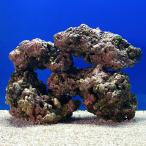 ( морская рыба ) один пункт предмет lai блок (LL размер ) LR-3688(1 комплект ) Hokkaido авиапочта необходимо теплоизоляция 