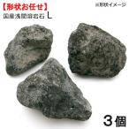 形状お任せ　浅間溶岩石　Ｌサイズ（約１８〜２３ｃｍ）　３個　アクアリウム　テラリウム　レイアウト素材　お一人様３点限り