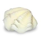  раковина ракушка коллекция автомобиль kogai Mix ML размер (1 комплект ) вид оставив решение кому-то другому oka рак-отшельник посуда 