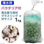 ( морская рыба ) фильтрующий материал морская вода для бактерии имеется Live фильтрующий материал gla sling α( Alpha ) M размер 1kg Hokkaido * Kyushu авиапочта необходимо теплоизоляция 