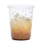 ( сырой приманка ). надеты гарантия есть tolinidoshoujoubae( полет отсутствует ) pra темно синий ввод (1 шт ) маленький размер лягушка саламандра приманка корм Hokkaido * Kyushu авиапочта необходимо теплоизоляция 