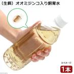 （生餌）オオミジンコ入り飼育水（５００ｍｌ）　活餌