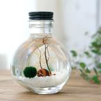 ( креветка ) тент тент * бутылка ( круг форма * белый ) Хонсю Сикоку ограничение 