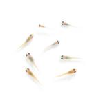 ( оризия ) нет выбор другой ..me Dakar . рыба (10 шт )