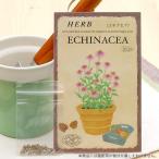 アウトレット品　ハーブ　ＨＥＲＢ　（エキナセア）　品番：８４６　家庭菜園　訳あり
