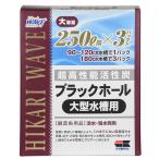 キョーリン 高性能活性炭 ひかりウェーブ ブラックホール 大型水槽用 お一人様20点限り
