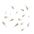 ( оризия ) нет выбор другой сосна . филе длина маленький блок me Dakar . рыба (5 шт )