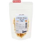 消費期限:2025年06月20日 ドライヨーグルト ビッツ 40g 犬猫用 無着色 無添加 訳あり