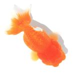 (国産金魚)一点物 更紗らんちゅう 11cm±(1匹)北海道航空便要保温