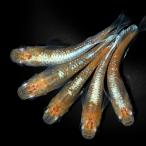 ( оризия ) три цвет Мали a-jukising широкий ласты me Dakar (5 шт )