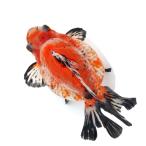 ショッピング金魚 （国産金魚）一点物　ダルマ琉金　ショートテール　１５ｃｍ±（１匹）