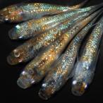 （めだか）月華メダカ（５匹）