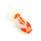 ショッピング金魚 （国産金魚）一点物　桜東錦　志村養魚場　１６ｃｍ±（１匹）