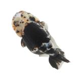 ( золотая рыбка ) один пункт предмет золотая рыбка 12cm±( иностранного производства )(1 шт ) Hokkaido * Kyushu авиапочта необходимо теплоизоляция 