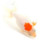 ショッピングメダカ （国産金魚）一点物　出雲ナンキン更紗　当歳　池田秀信作　１０ｃｍ±（１匹）