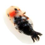 ( золотая рыбка ) один пункт предмет .. золотая рыбка ( иностранного производства )8cm±(1 шт ) Hokkaido авиапочта необходимо теплоизоляция 