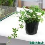 商品画像3