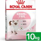 ロイヤルカナン　子猫　キトン　成長後期の子猫用　生後１２ヵ月齢まで　１０ｋｇ　ジップ付　キャットフード　ドライ