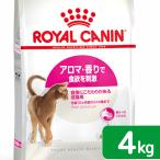 ショッピング猫 ロイヤルカナン　猫　アロマエクシジェント　アロマ　成猫用　４ｋｇ　３１８２５５０７６７３５４　お一人様５点限り　ジップ付