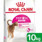 ショッピングロイヤルカナン 猫 ロイヤルカナン　猫　アロマエクシジェント　アロマ　成猫用　１０ｋｇ　３１８２５５０７６７３６１　お一人様５点限り　ジップ無し