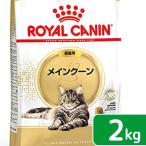 ショッピングから ロイヤルカナン　猫　メインクーン　成猫用　生後１５ヵ月齢から１２歳まで　２ｋｇ　ジップ付（キャットフード　ドライ）　お一人様５点限り