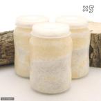 菌糸ビン　ＸＬ−ＰＯＴ　カワラタケ　８００ｃｃ　５本