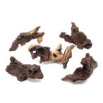  вид оставив решение кому-то другому nikomi завершено mo панель дерево S размер ( примерно 15~25cm) 5шт.@ аквариум расположение материалы коряга 