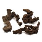  вид оставив решение кому-то другому nikomi завершено коралл дерево S размер ( примерно 15~25cm) 3шт.@ аквариум расположение материалы коряга 