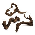  вид оставив решение кому-то другому nikomi завершено коралл дерево M размер ( примерно 25~35cm) 3шт.@ аквариум расположение материалы коряга 