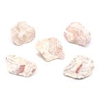  вид оставив решение кому-то другому .. камень S размер ( примерно 8~13cm) 5 шт аквариум расположение материалы 