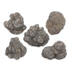  вид оставив решение кому-то другому . свет камень SS размер ( примерно 5~8cm) 5 шт аквариум расположение материалы 