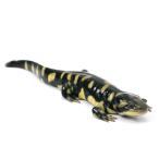 ( земноводные ) один пункт предмет Obi Tiger саламандра CB особь 811421(1 шт )( примерно 15,5cm)