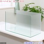 ショッピングacro バックスクリーン貼付済　エーハイム　ＥＪ−６０　６０ｃｍ水槽　サンド（６０×３０×３６ｃｍ）（単体）　お一人様１点限り