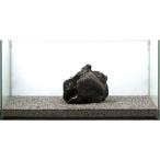  один пункт предмет . море камень родители камень большой аквариум для 857689