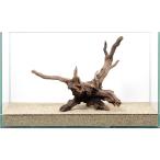 一点物　ディアーホーンウッド　６０ｃｍ水槽用　８５９４９３