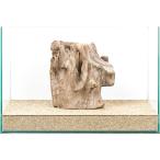  один пункт предмет штамп дерево 45cm аквариум для 859849