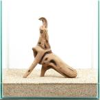 ショッピングテラリウム 一点物　上質流木　雅　３０ｃｍ水槽用　８８０３７５