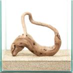  один пункт предмет прекрасное качество коряга .30cm аквариум для 880391